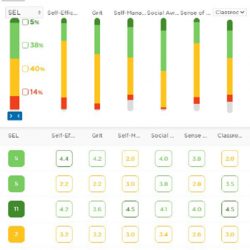 Panorama Dashboard SEL scores for individual students