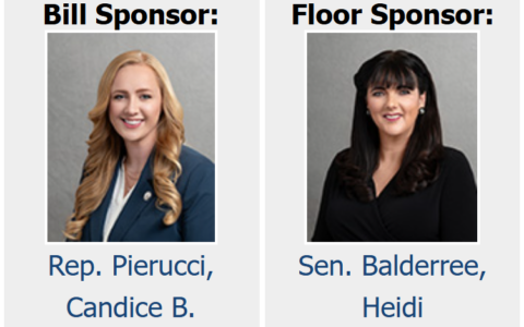 Screenshot 2025-02-12 003345 Screenshot 2025-02-12 003345